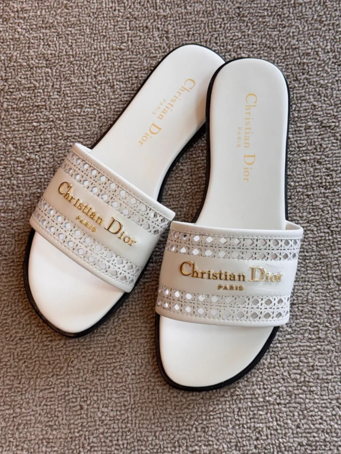DIOR SHOES STYLE#41 - Image 4