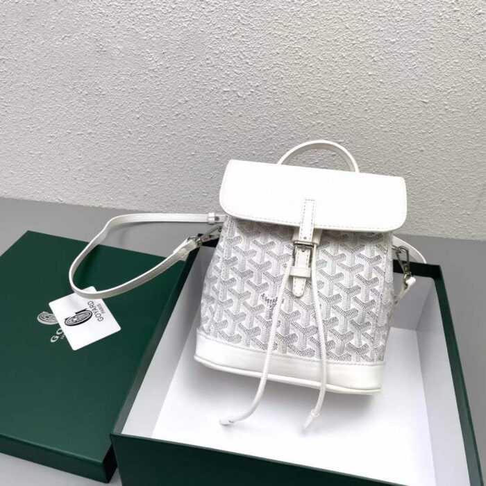 Goyard alpin mini backpack